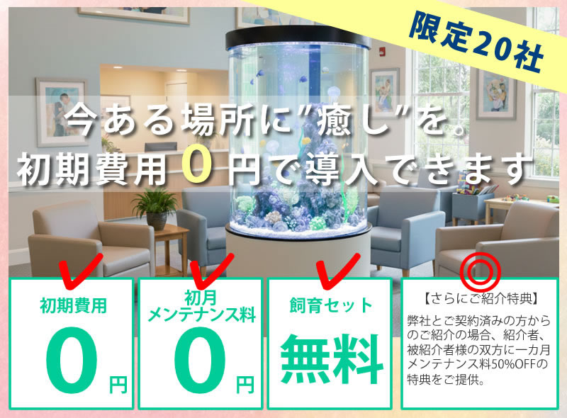 キャンペーン画像